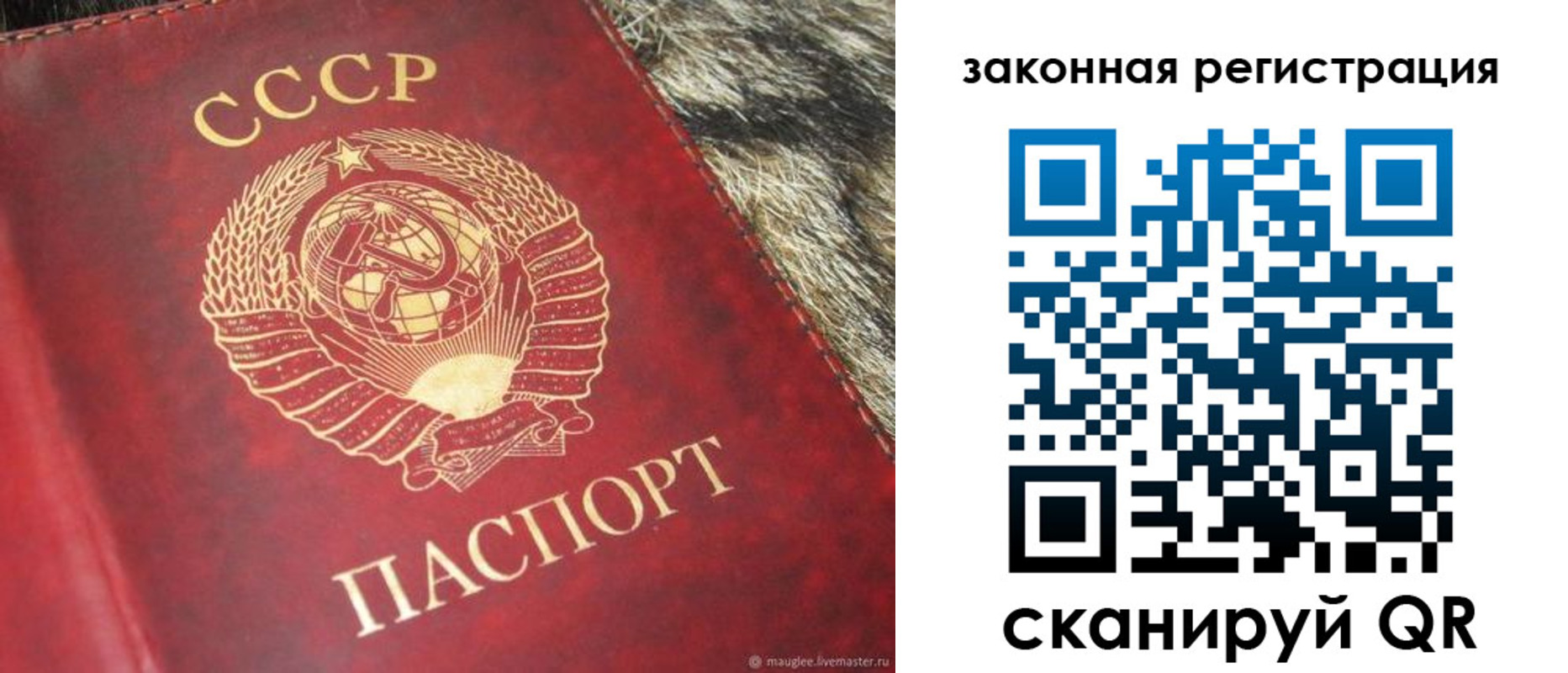 прописка от собственника в Куртамыше